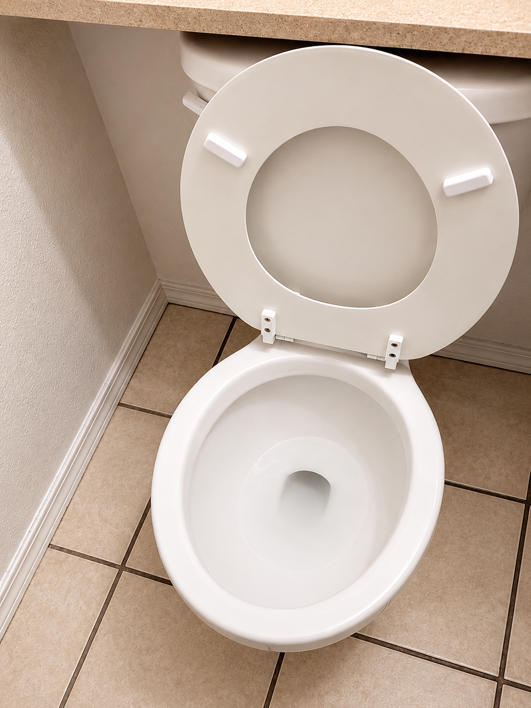 Freshly cleaned toilet after move-out cleaning