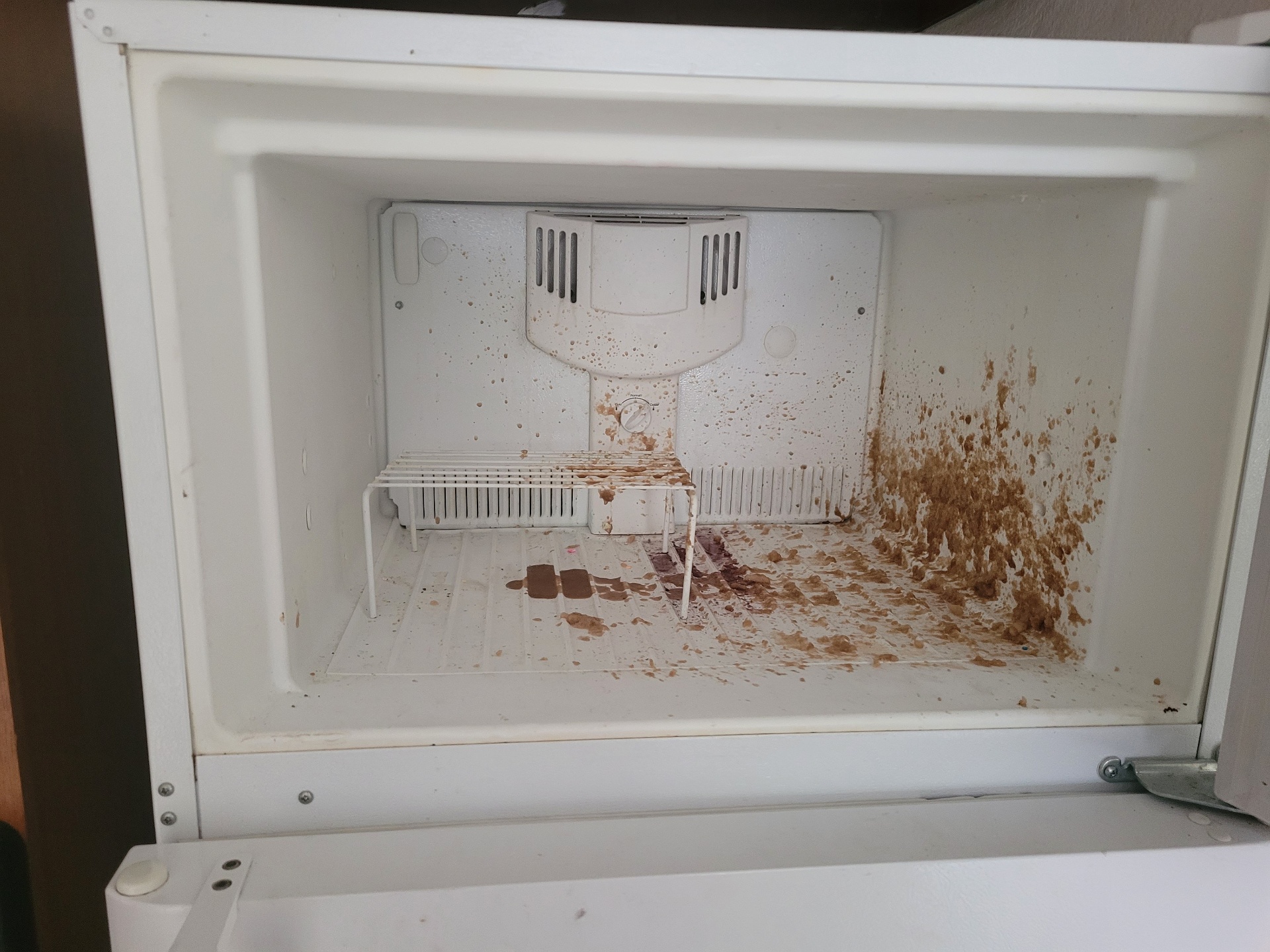 Dirty refrigerator interior before move-out cleaning